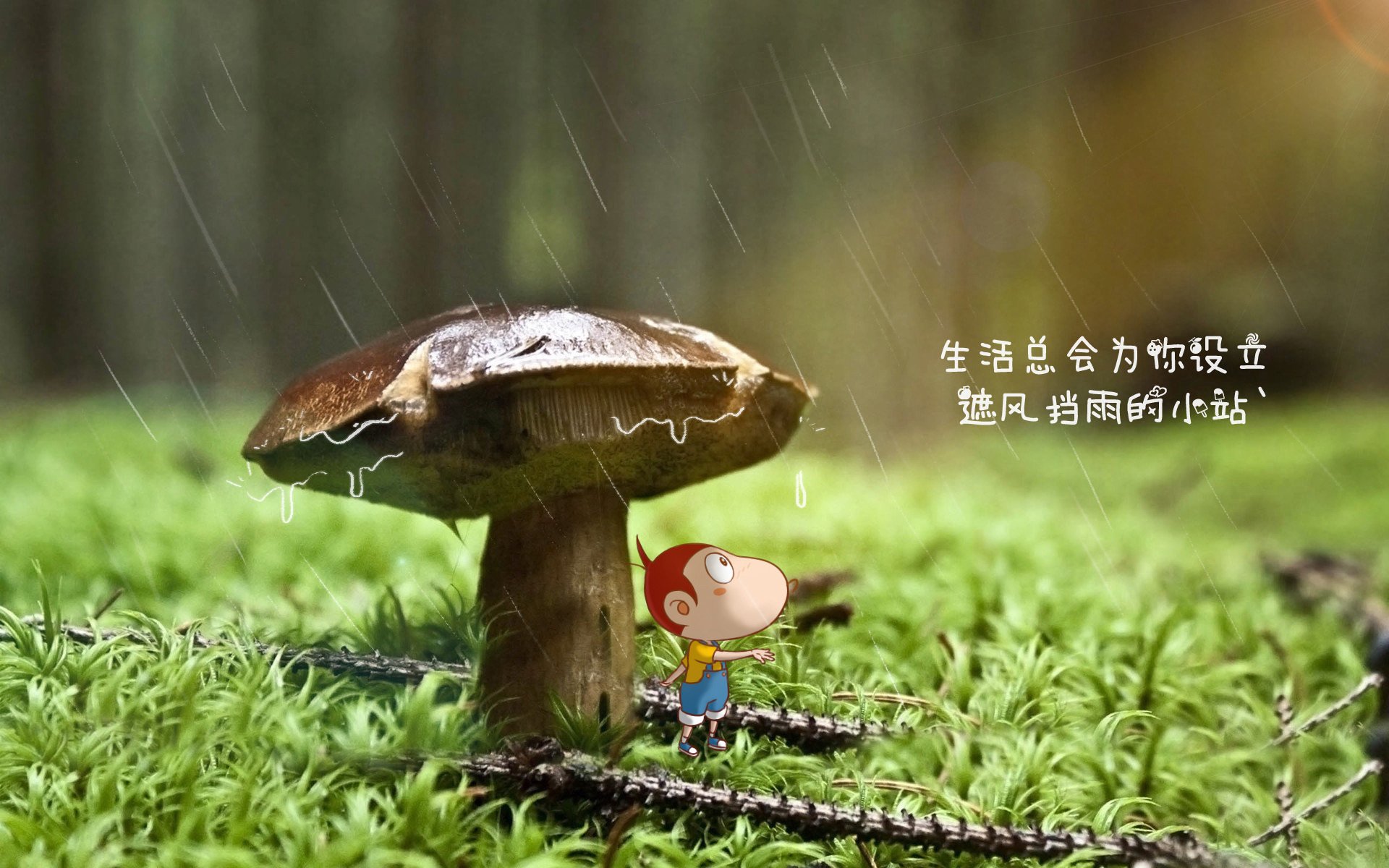 中国篮球职业联赛裁判员执法水平提升，中国篮球协会裁判员等级证书怎么考