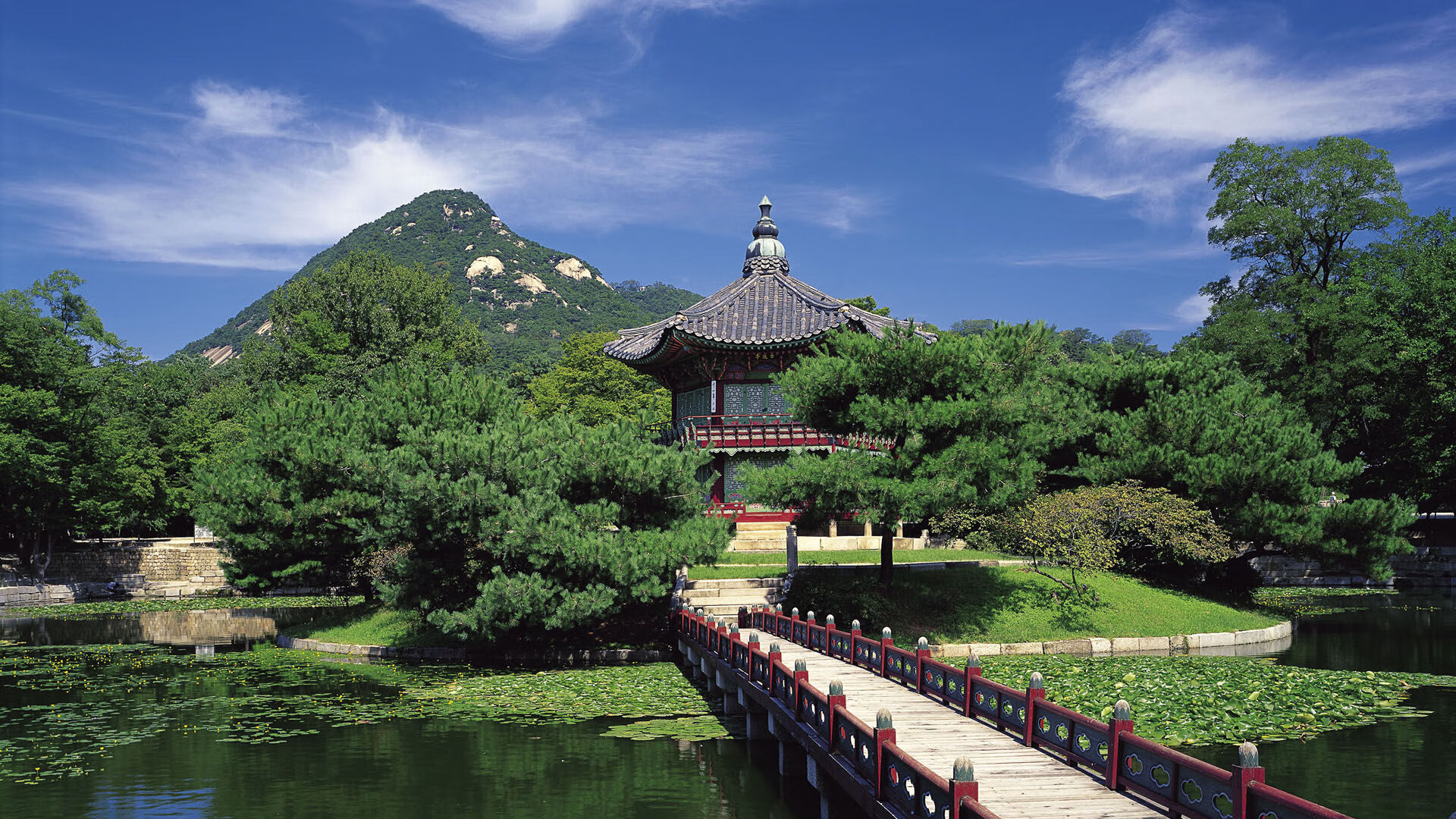 CBA联盟借助科技提升比赛公平性和透明度,cba联赛竞赛方案