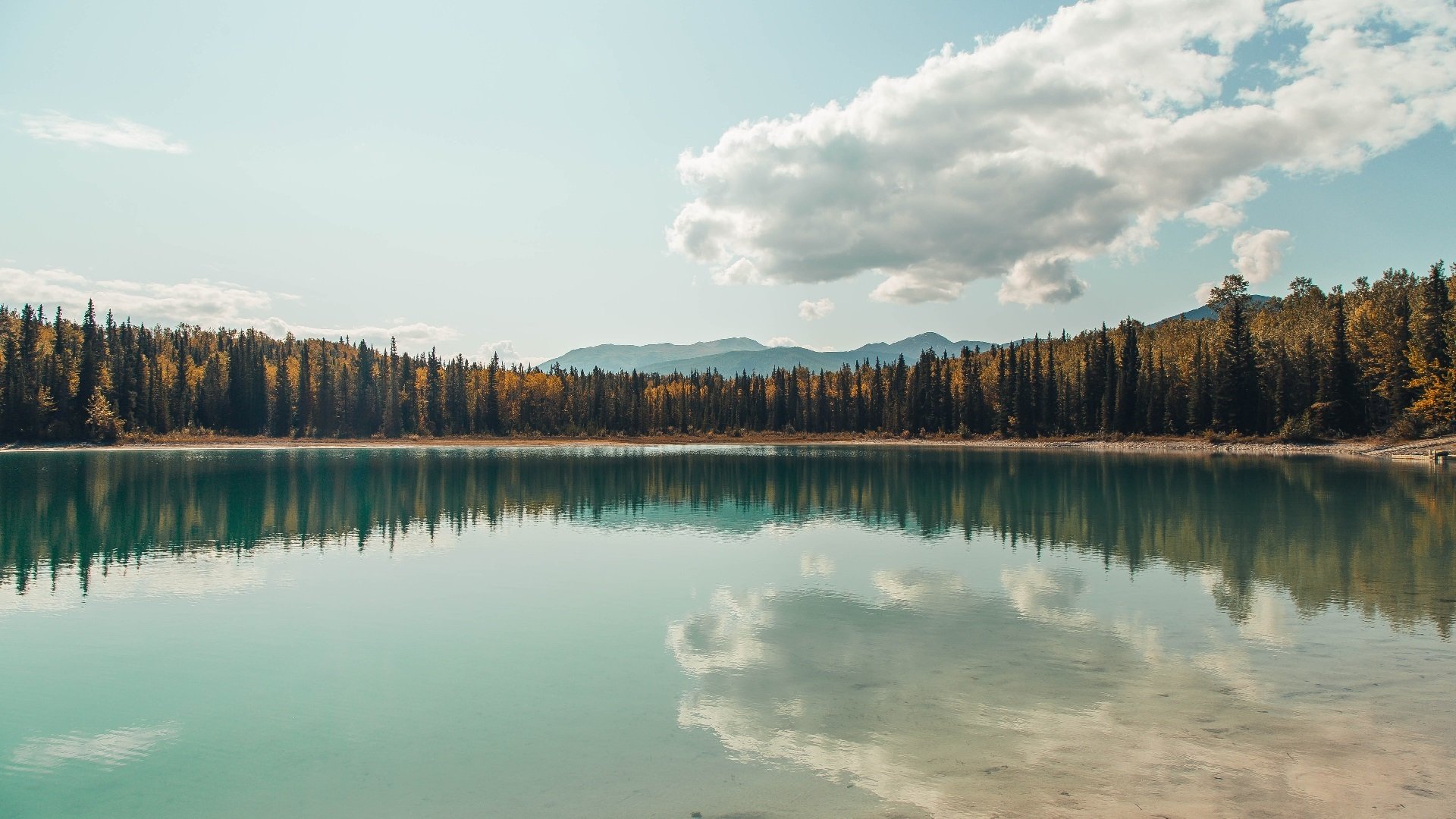 “2025世界运动会:短柄墙球在高新区全民健身馆赛场上,谁能成为头脑与力量的双重冠军?”