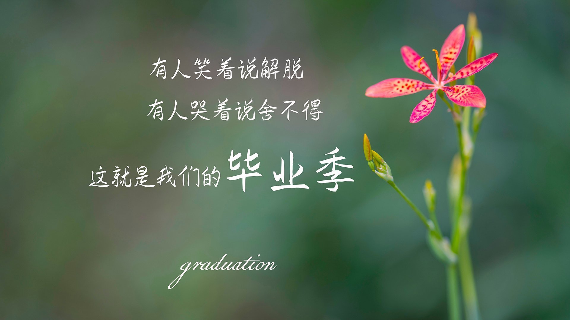 “六人制袋棍球:东部新区赛场成为新兴运动的舞台”