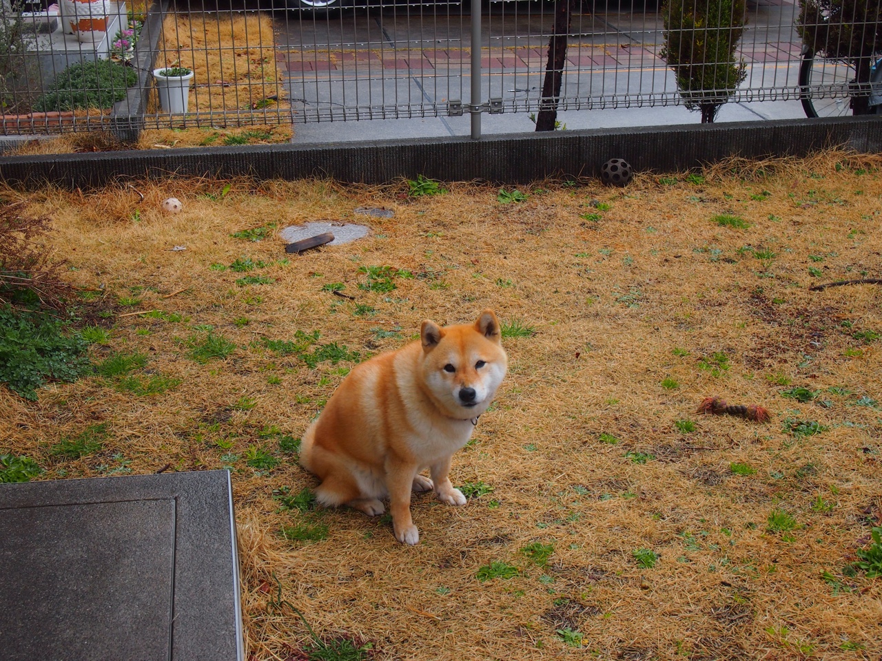 中国男篮加强篮板争夺 提升二次进攻机会,中国男篮宣布