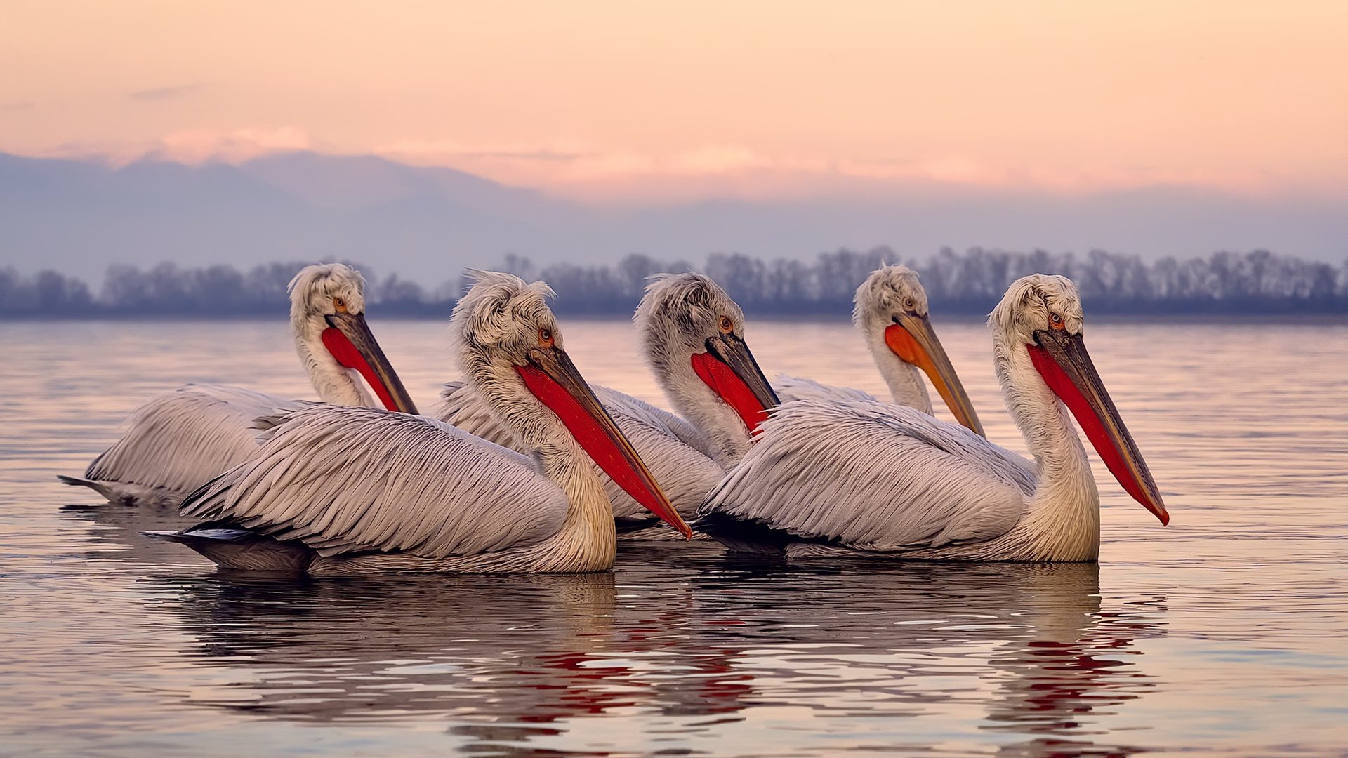 开云中国大陆-中超球队实施分阶段体能评估标准，中超联赛评分标准