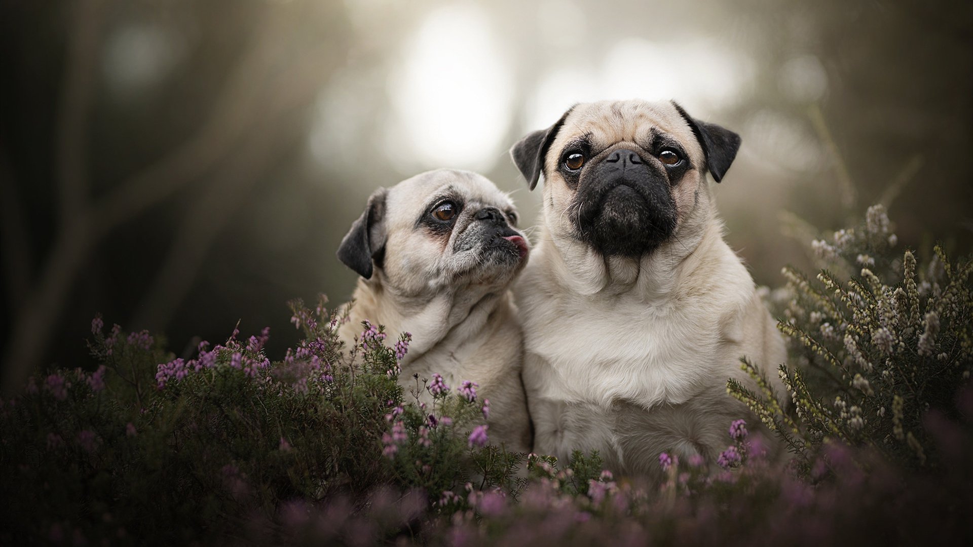 kaiyun体育app-冰雪项目热度不减南方参与率攀升，冰雪项目有什么