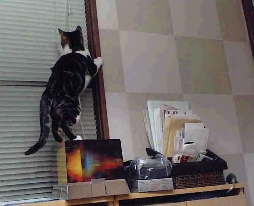 国际热身赛国足逆袭 球迷看好未来走势,国际足联热身赛