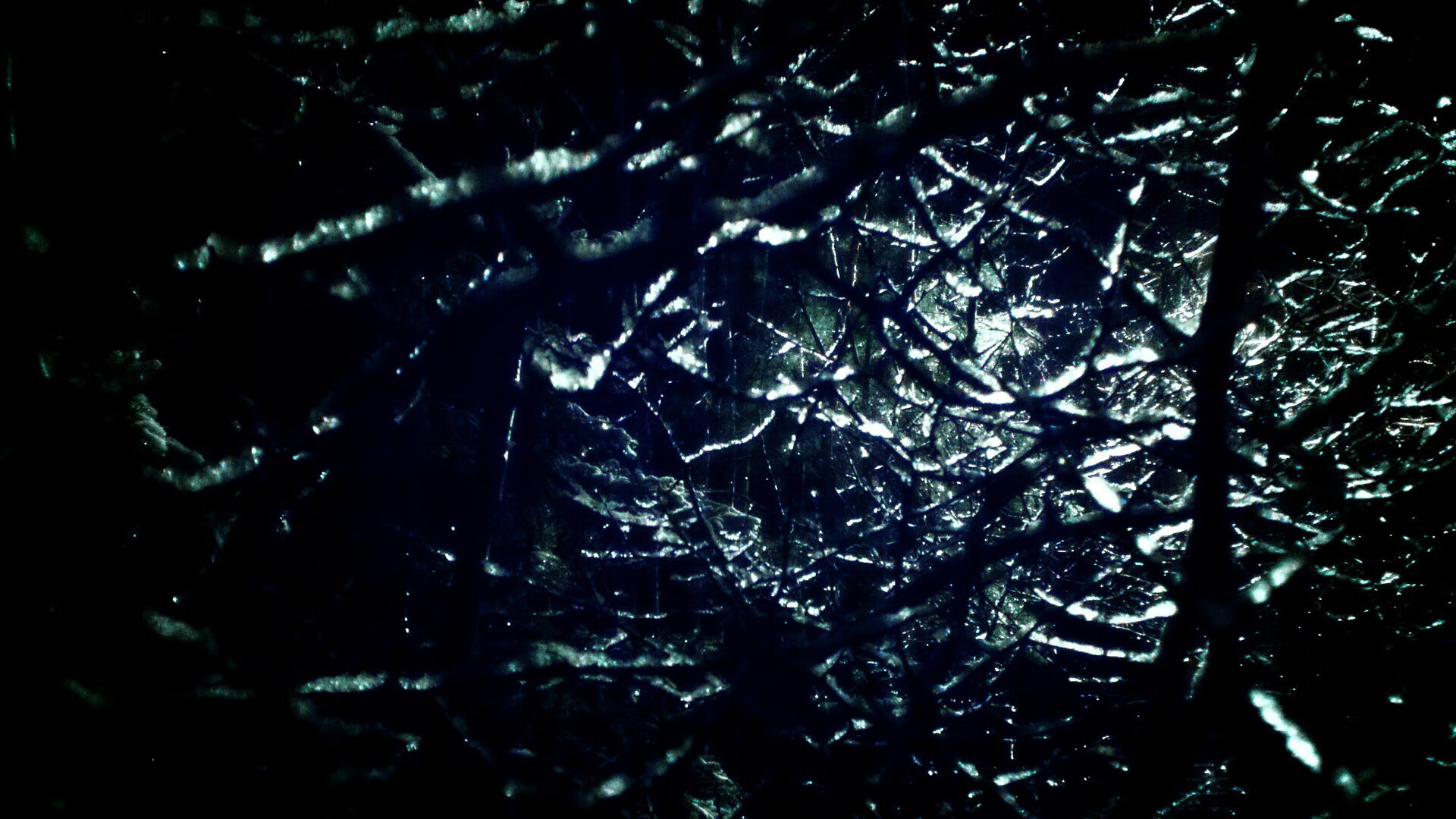 埃及队未来发展:如何在世界乒乓赛场上占据一席之地,埃及的乒乓球