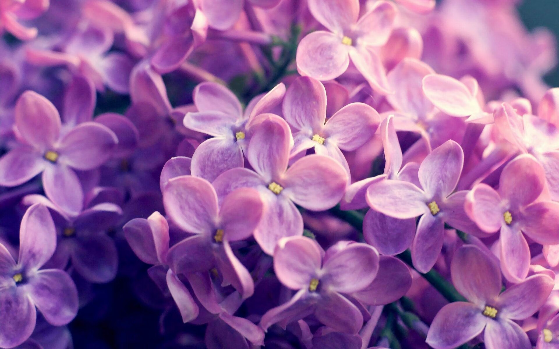 开云kaiyun-校园冰壶公开课深受学生喜爱参与人数倍增，学校冰壶比赛的作文300字