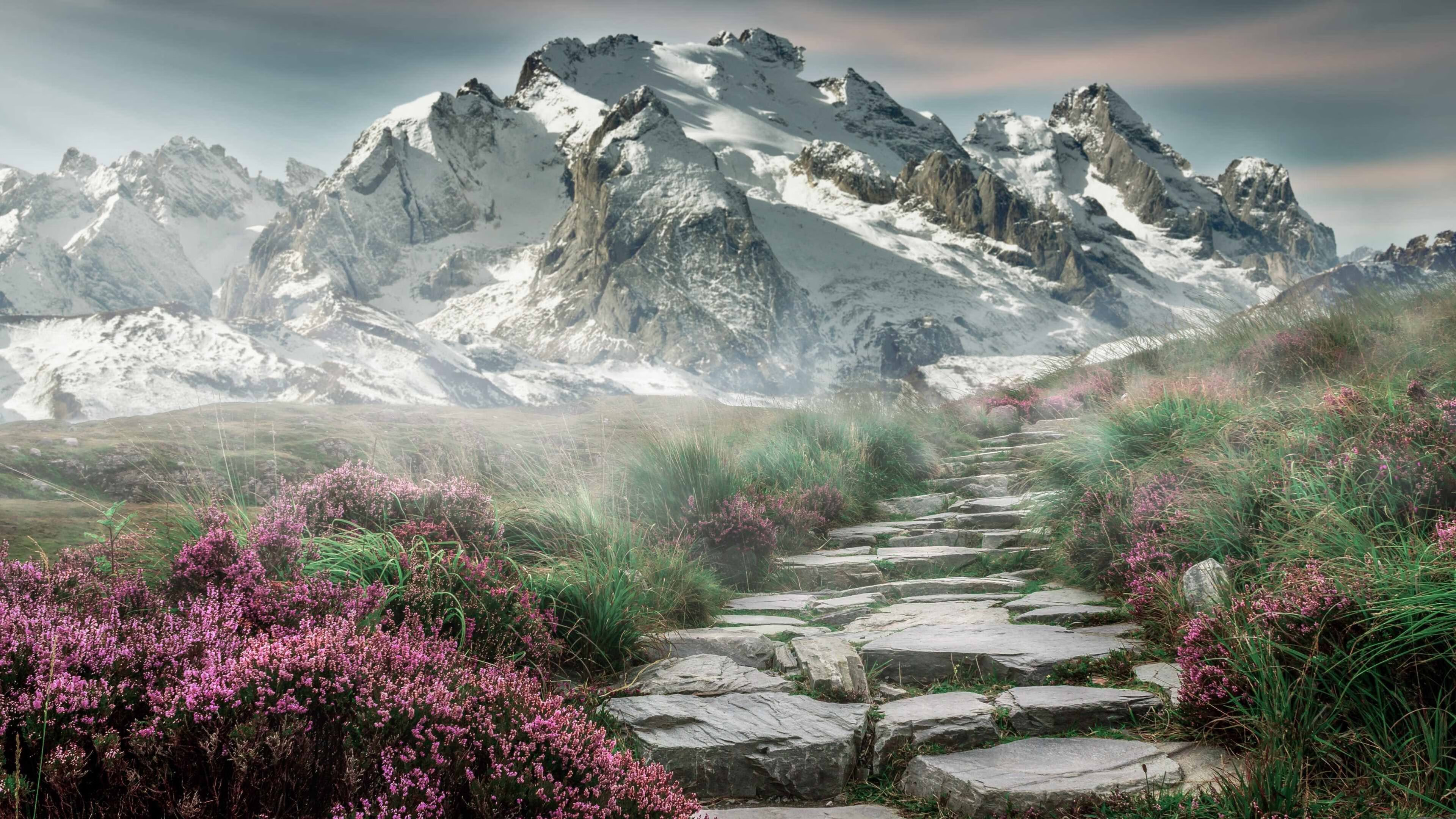 比赛节奏是否与比赛观赏性存在直接联系,比赛分为三个环节