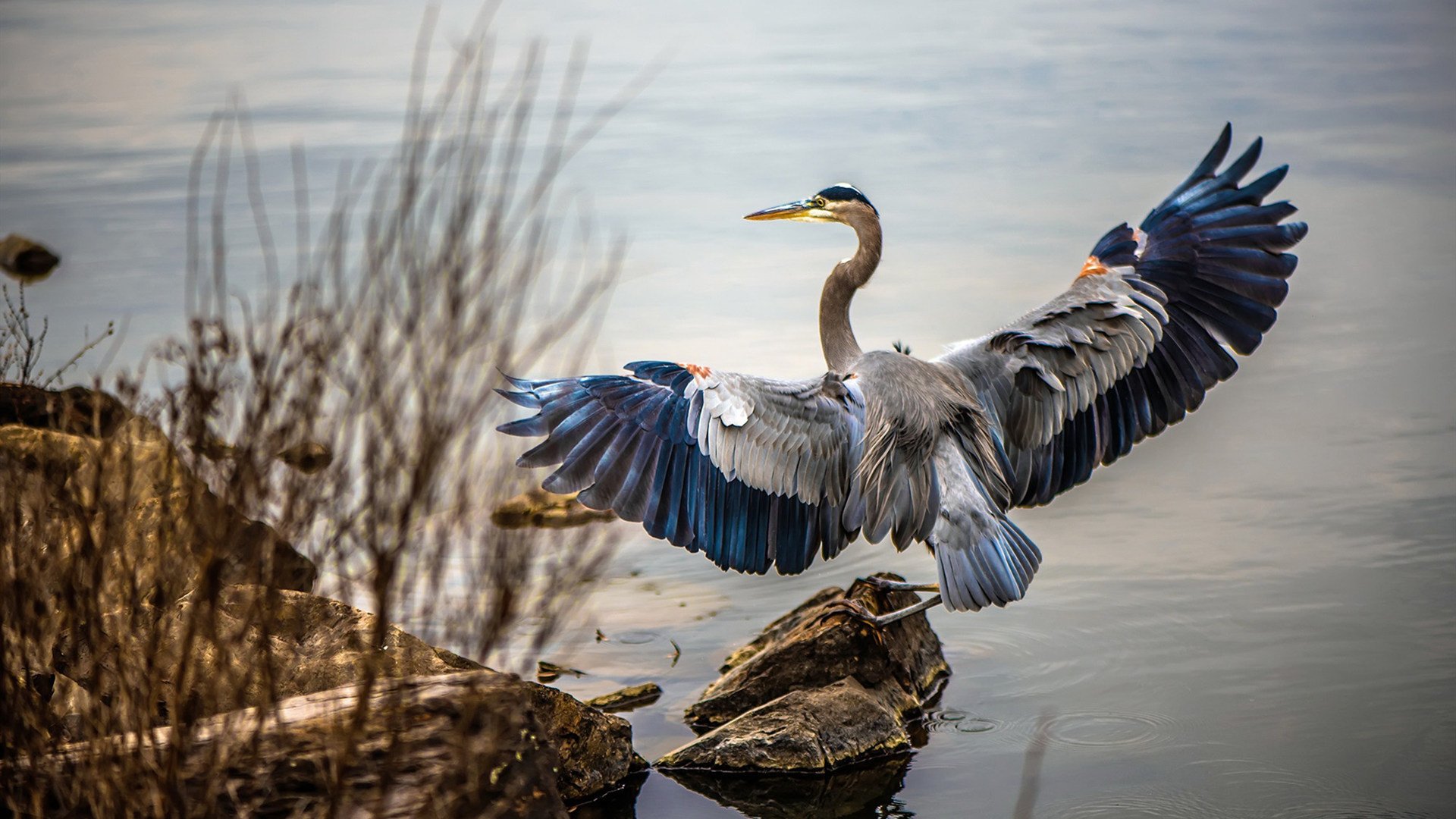青训考核过于注重短期比赛成绩,青训试训内容