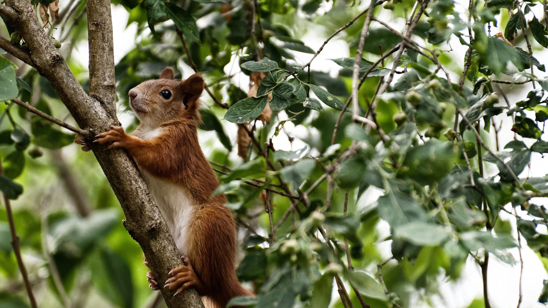 开云·Kaiyun网页版-“费尔南多·比亚尔巴的传球艺术，成就阿根廷美洲狮队未来核心”