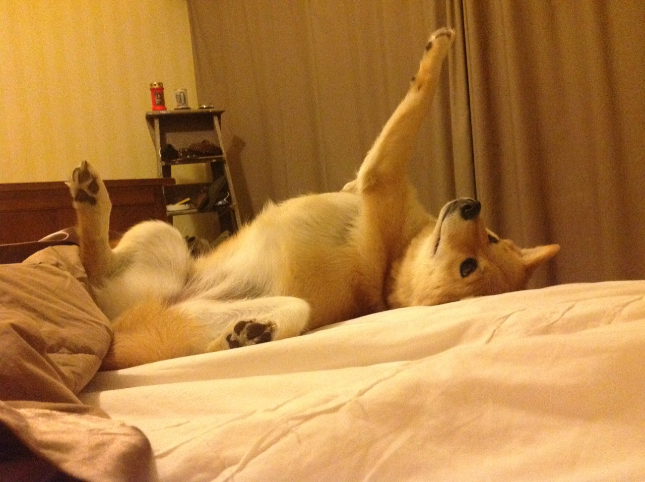 中国队稳扎稳打掌控比赛节奏,中国队是最稳定的球队