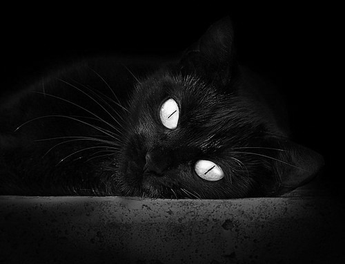 开云·体育官网-乌拉圭队长戈丁在美洲杯中的领导力受到称赞