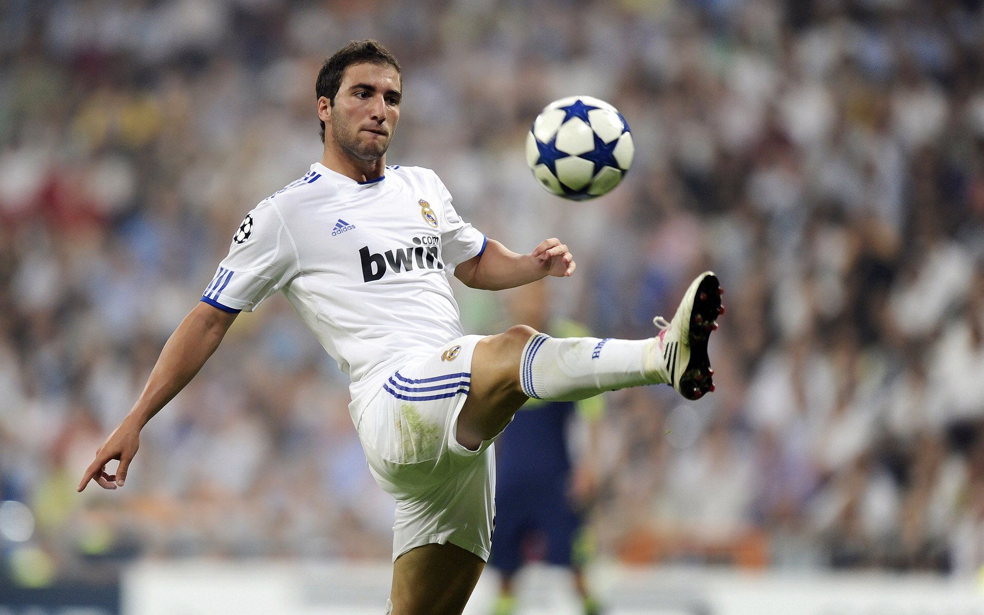 乌拉圭队长戈丁在美洲杯中的领导力受到称赞