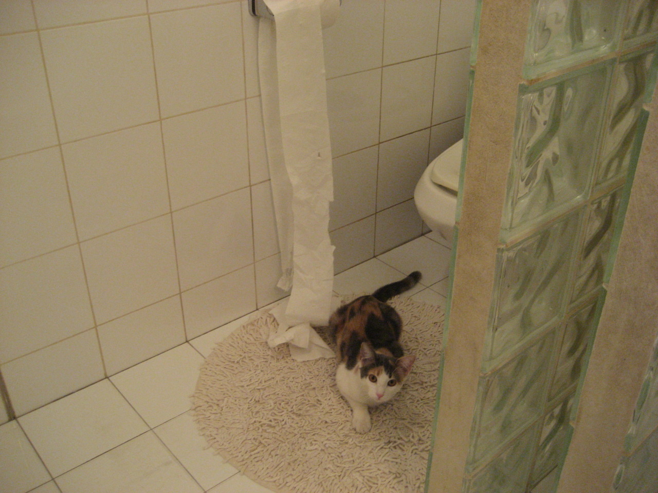 亚洲足球崛起,多队打入国际大赛十六强,亚洲足球2021