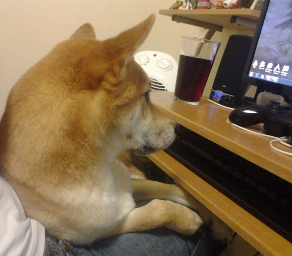 Kaiyun官方登录入口-庞蒂表现稳定展现冠军风范，庞蒂亚克历代车型图片