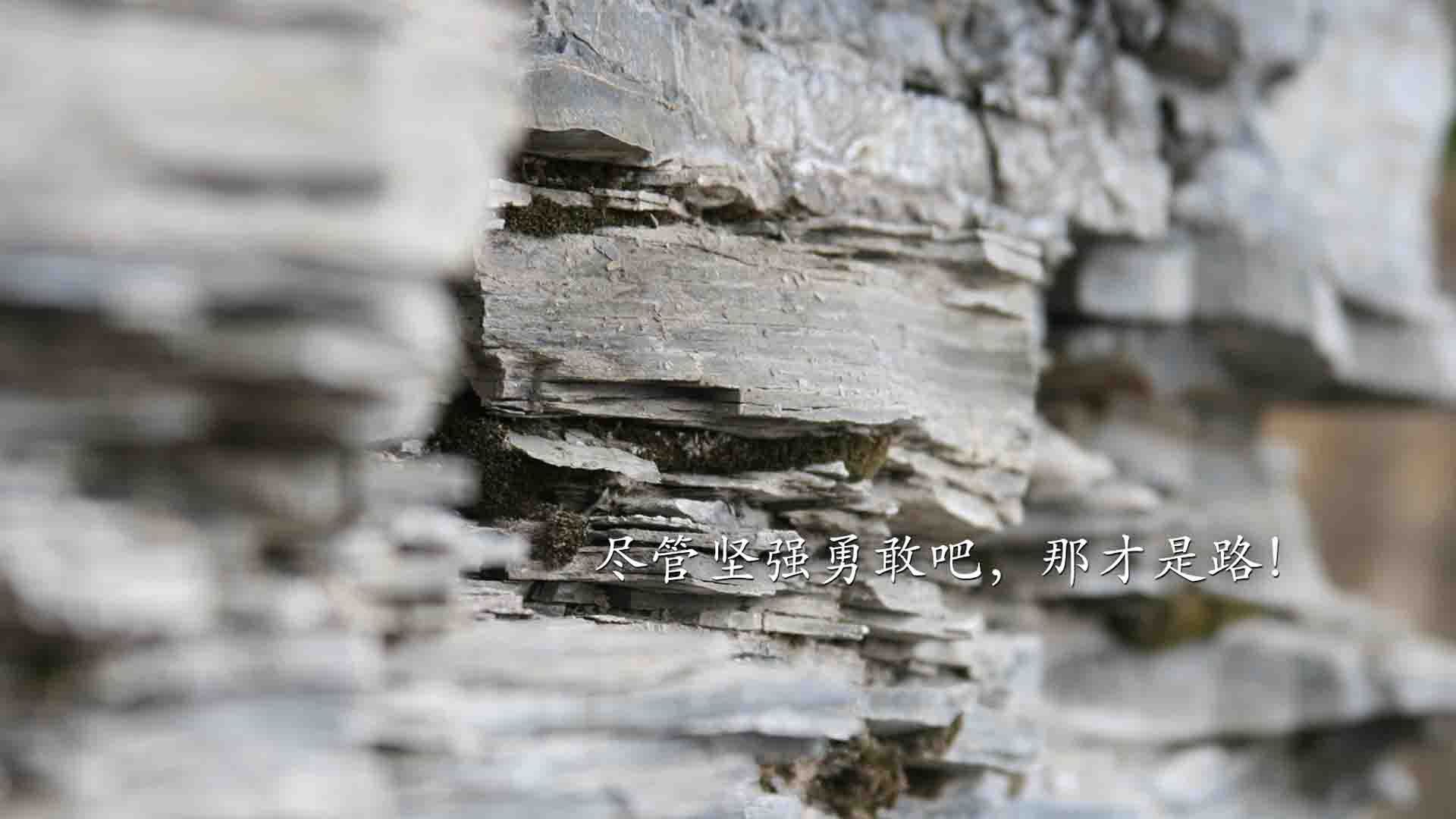 意大利爆冷击败世界冠军德国,意大利爆冷击败世界冠军德国球员