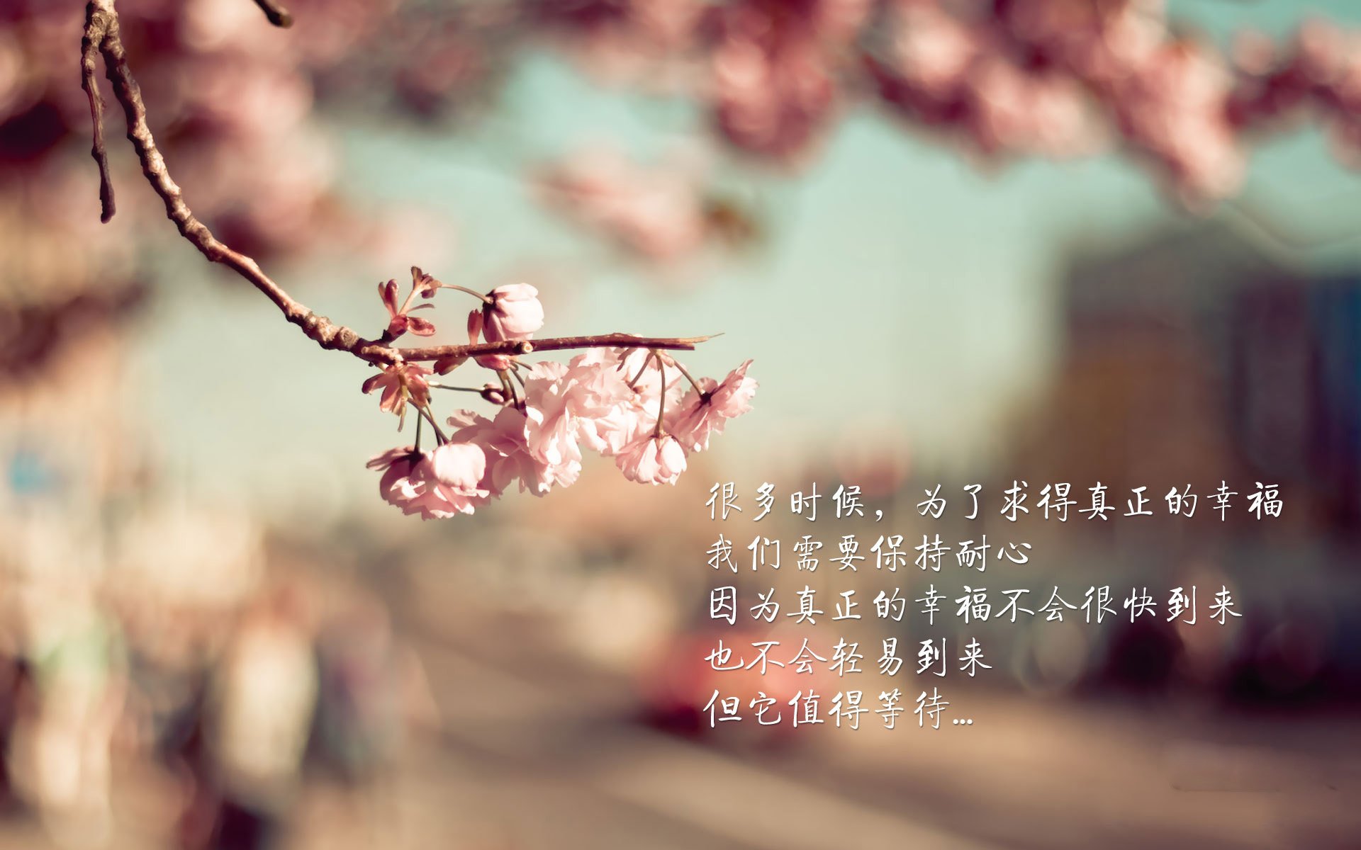 kaiyun开云·官方网站-李冰洁挑战世界强敌展现中国速度，李冰洁比赛