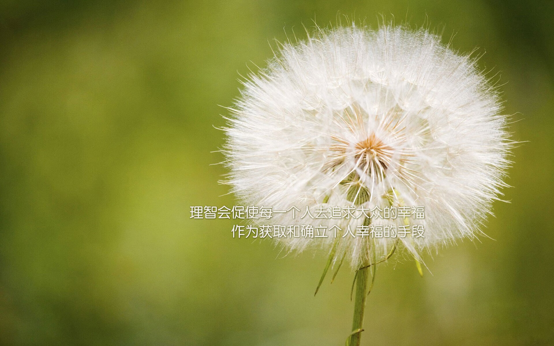 法甲绝佳传球:战术组织令人叹为观止!,法甲 经典比赛