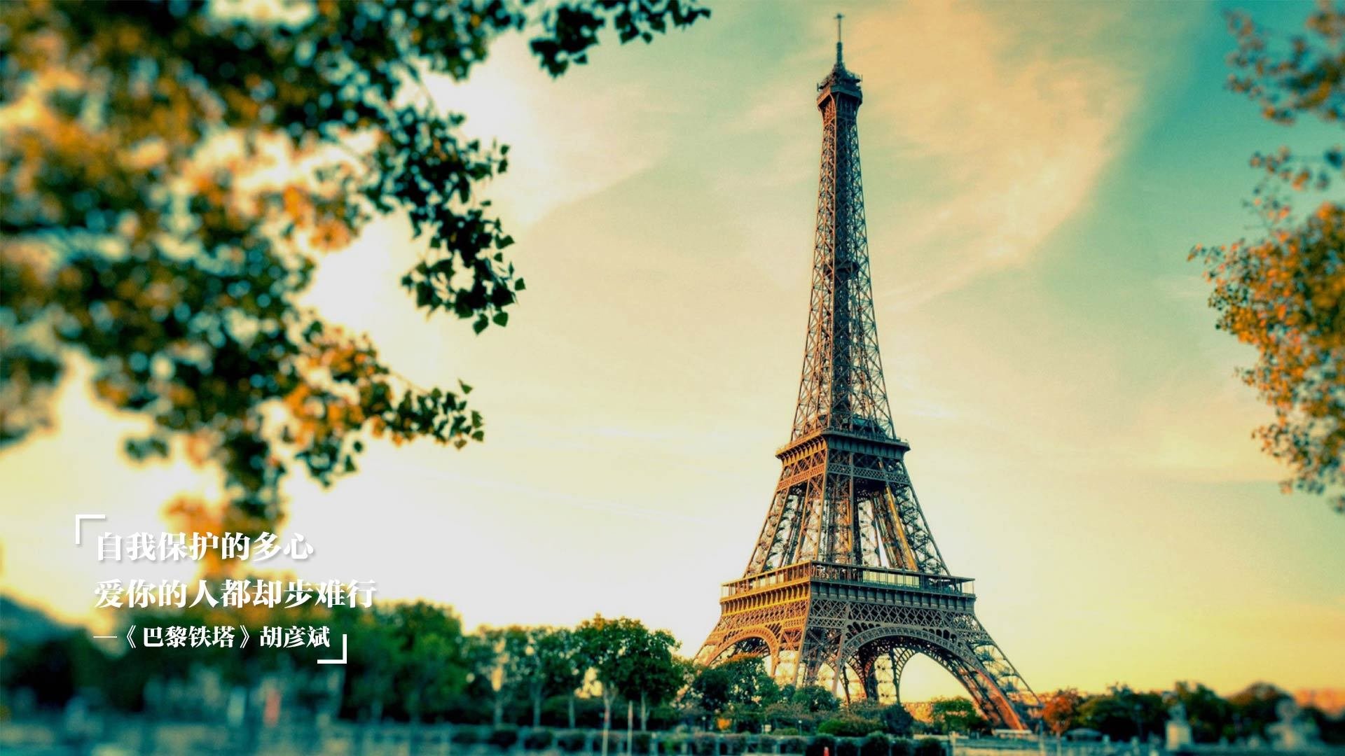 王嘉男再夺冠军跳远锦标赛,王嘉男东京奥运会跳远成绩