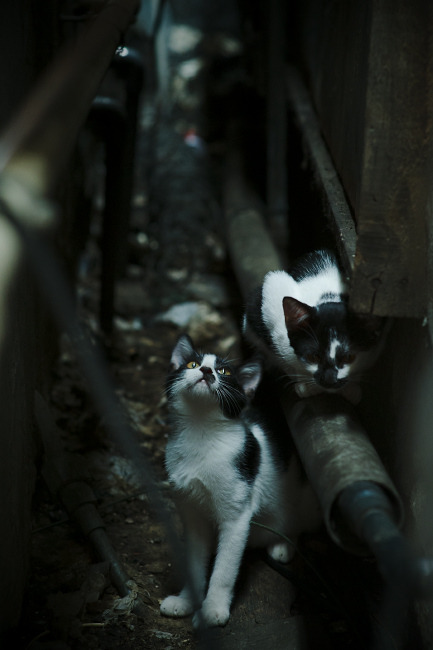 米切尔表示希望带队更进一步,米切尔在哪个队