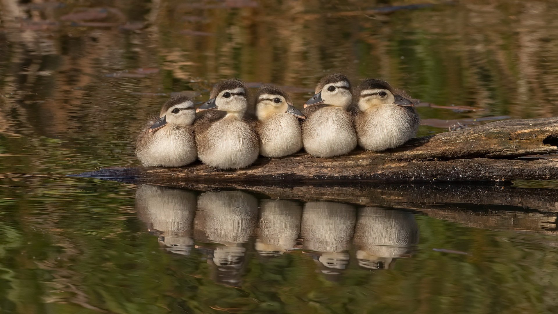 Kaiyun APP-中国足球国家队注重比赛经验积累和总结，中国足球国家队注重比赛经验积累和总结